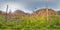 Vineyard with grape in autumn in the mountains Image with 3D spherical panorama with 360 degree viewing angle. Ready for virtual