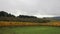 Vineyard with Grapes Bearing Vines in Fall Season Panning