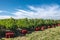 Vineyard harvesting season preparations