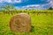 Vineyard and hay bale in inland Istria