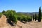 Vineyard on a Hill in Priorat Spain