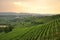 Vineyard and hills of the Langhe region. Piemonte, Italy