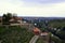 Vineyard on a hillside around the river