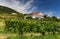 Vineyard with house in Balaton uplands, Hungary