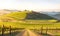 Vineyard with house. Spring landscape morning in valley with green meadow on hills, orang and blue sky, Spring panorama view