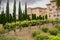 Vineyard among the houses in a residential neighborhood in San Jose, California