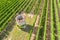 Vineyard houses in the shape of a tower in Rheinhessen / Germany