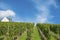 Vineyard with Jacobus Chapel in Gengenbach