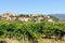 Vineyard with Laguardia town as background, Spain