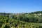 Vineyard landscape around the village of Saint-Verand in France in Beaujolais