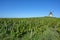 Vineyard landscape around the village of Thorins in France in Beaujolais