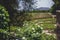 Vineyard. Landscape chilean vineyard. Rural landcape in sunny day