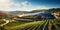 Vineyard landscape with a modern winery building on a hill under stunning sky. Rows of grapes. Generative AI