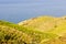 Vineyard landscape near Banyuls sur Mer, Pyrenees Orientales, Roussillon, Vermilion coast, France