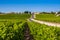 Vineyard landscape near Bordeaux, France