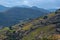 Vineyard landscape near Collioure, Pyrenees Orientales, Roussillon, Vermilion coast, France