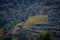 Vineyard landscape near Collioure, Pyrenees Orientales, Roussillon, Vermilion coast, France