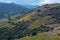 Vineyard landscape near Collioure, Pyrenees Orientales, Roussillon, Vermilion coast, France