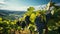 Vineyard landscape, ripe grapes, fresh wine, nature fruitful harvest generated by AI