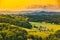 Vineyard landscape at South Styrian Wine Road in Austria