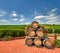 Vineyard Landscape with Wine Barrels