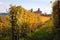 Vineyard Langhe rows field with cottage. Autumn beautiful orange and yellow colors. Viticulture Piedmont, Italy.