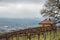 Vineyard and long lines of grapevines near the town