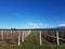 Vineyard in Mendoza, Aconcagua Background