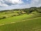 The vineyard of Montalcino