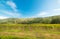 Vineyard in Montalcino