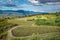 Vineyard of the mount Etna in Sicily, italy