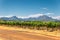 Vineyard and the mountains in Franschhoek town