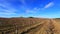 Vineyard with moving clouds in Aude, France