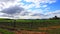 Vineyard with moving clouds in Aude, France