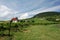 Vineyard near Balaton