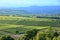 Vineyard near Ilbesheim in the Pfalz, Germany