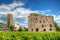 Vineyard near medieval castle fortress Boosenburg in Ruedesheim, Hessen, Germany