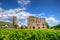 Vineyard near medieval castle fortress Boosenburg in Ruedesheim, Hessen, Germany