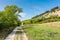 Vineyard near Palava, czech national park, wine agriculture and farming, nature landscape in summer, blue sky