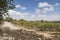 Vineyard next to a Winery in Gush Etzion in the West Bank Israel