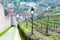 Vineyard with old town on background in Ribeauville, France, Alsace region.