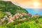 Vineyard and old town of Manarola,Italy,Europe