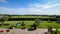 Vineyard and olive grove background in rural Lombardy region near Lake Garda