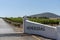 Vineyard overlooked by the Durbanville Hills near Cape Town, South Africa