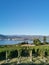 Vineyard overlooking Okanagan Lake in Naramata, British Columbia, Canada. Naramata is near Penticton in the Okanagan Valley