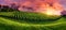 Vineyard panorama at magnificent sunset