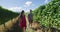 Vineyard people - Couple looking at Grapes on Vines In Vineyard Walking