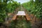 Vineyard with picnic table