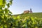 Vineyard, pilgrimage church Maria in the vineyard and blue sky in sunshine near the town of Volkach, framed by grape vines and