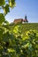 Vineyard, pilgrimage church Maria in the vineyard and blue sky in sunshine near the town of Volkach, framed by grape vines and